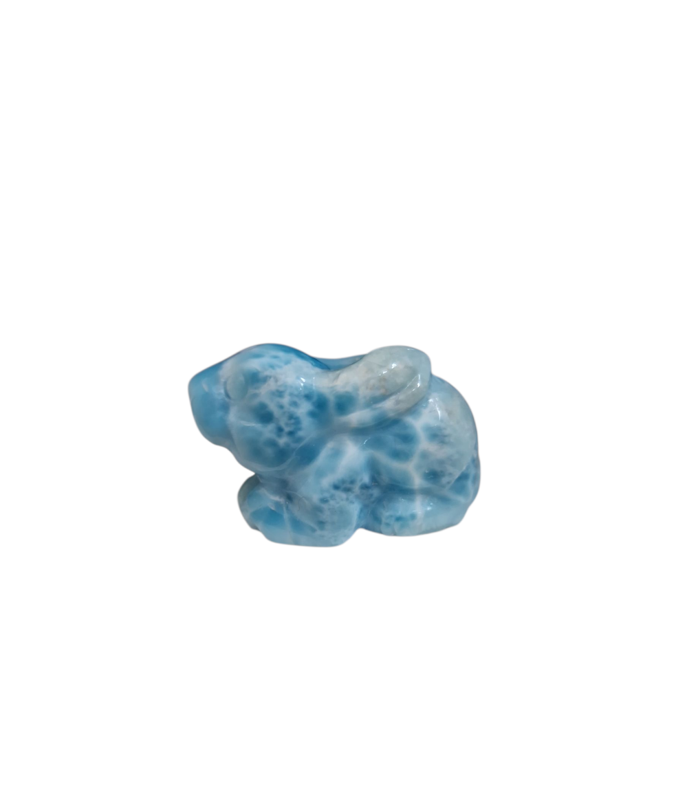 Larimar Hase