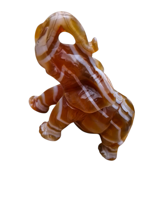 Karneol Elephant