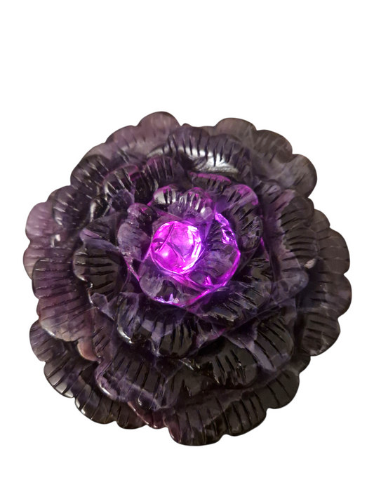 Fluorid Blume