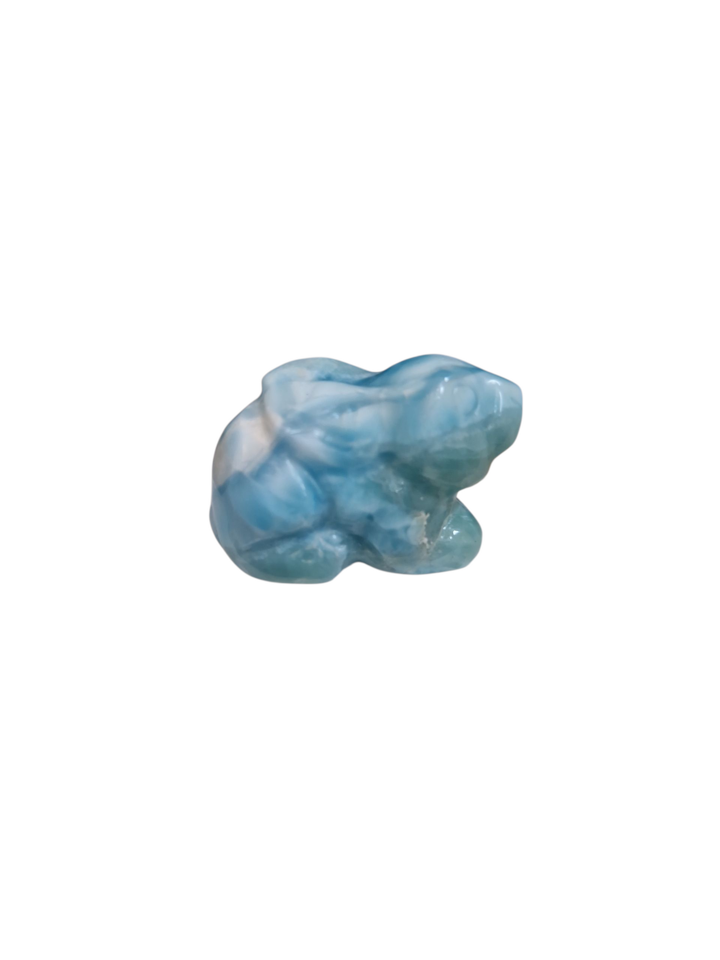 Larimar Hase