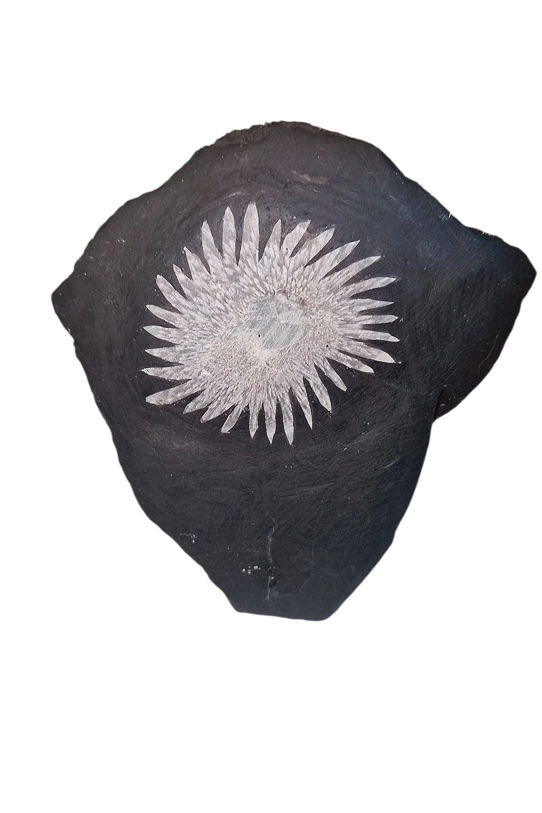 Chrysanthemenstein