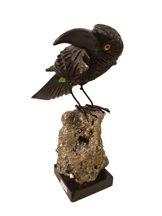 Obsidian/Pyrit Rabe