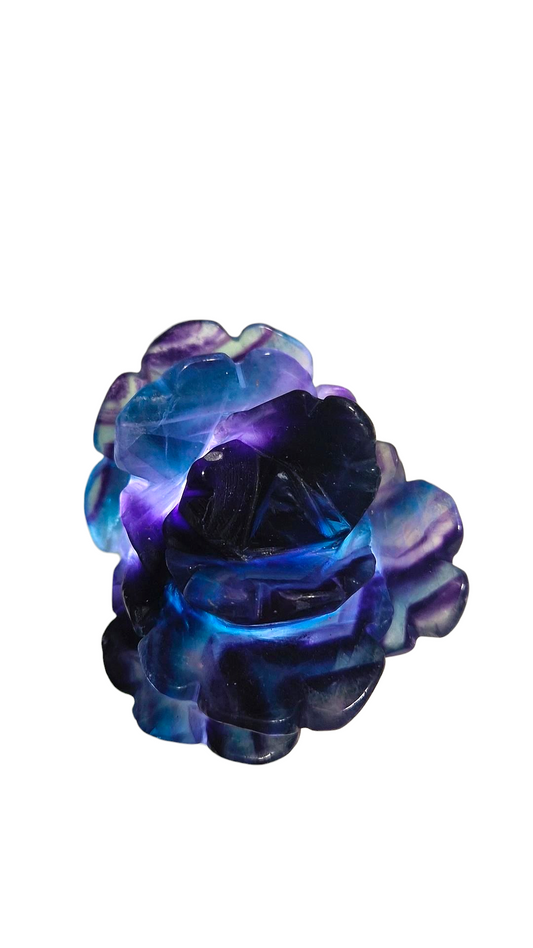 Fluorit Blume