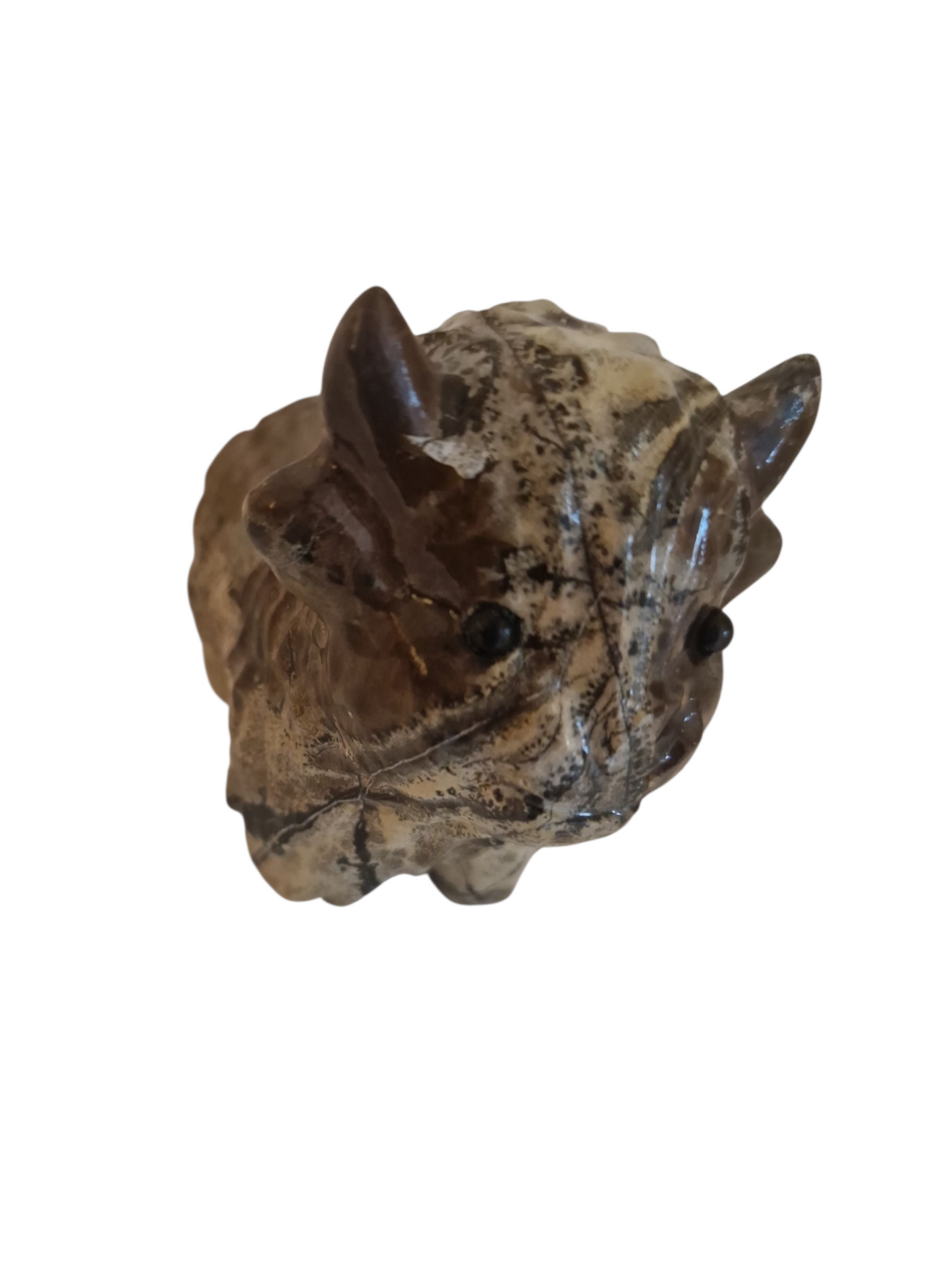 Yak Bilderjaspis