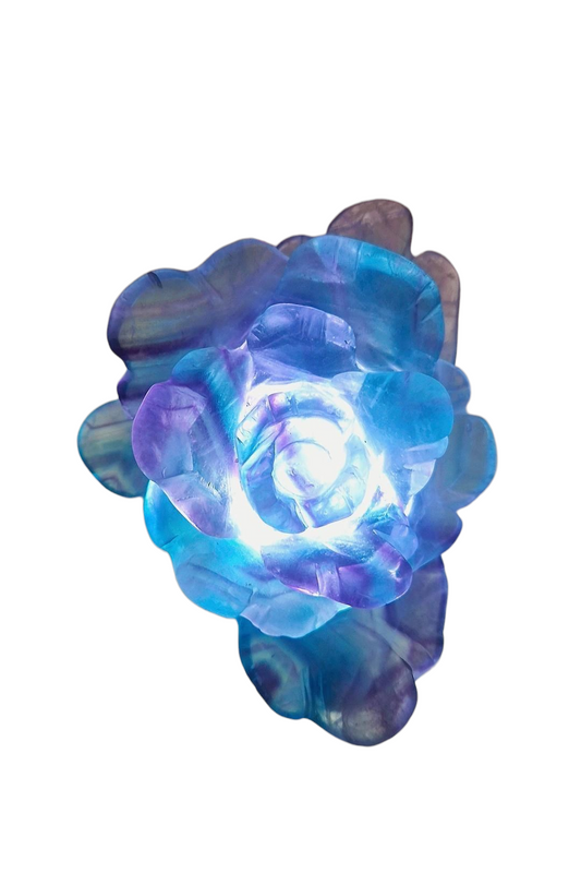 Fluorid Blume