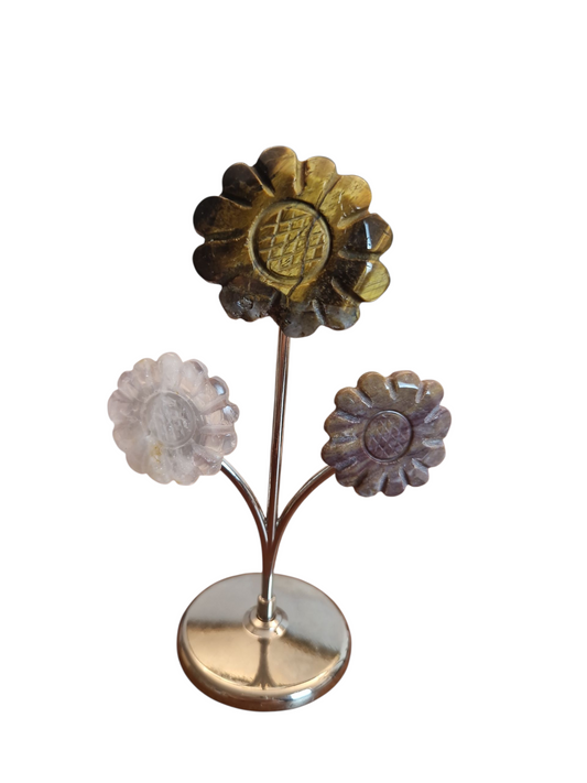 3er Blume