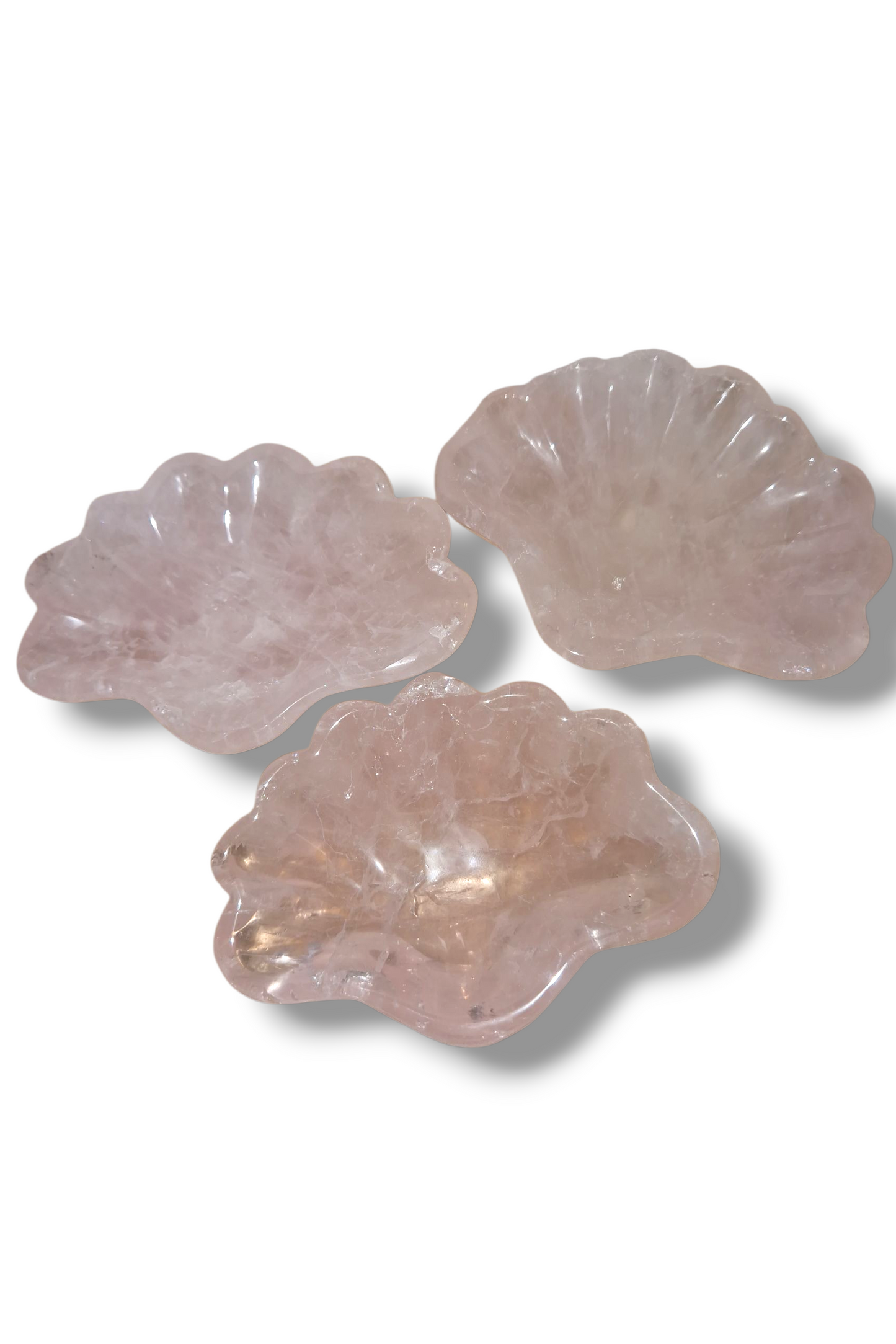 Rosenquarz Schale Muschel