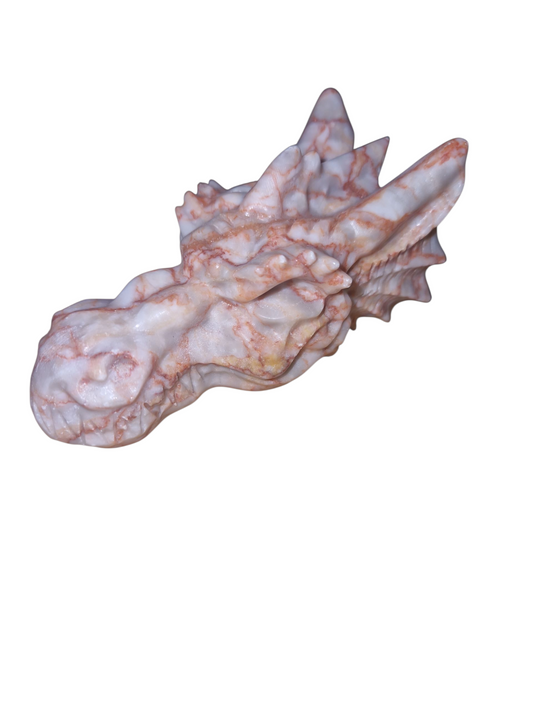 Venen Jaspis