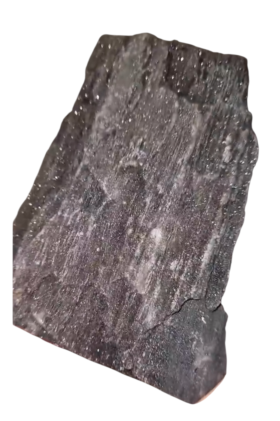 Feenholz